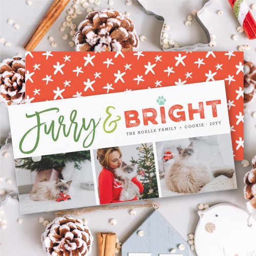 Furry  Bright Typography Cat Lover 3 Photo Pet Holiday Card