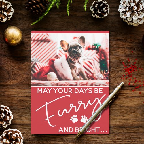 Furry Christmas red with photo and dog paws Postcard