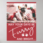 Furry Christmas red with photo and white paws Poster<br><div class="desc">This Christmas poster is perfect for every dog lover! It features the photo of a cute french bulldog puppy with Christmas cap and holiday decorations.
The white text on a red festive background says "may your days be Furry and bright"</div>