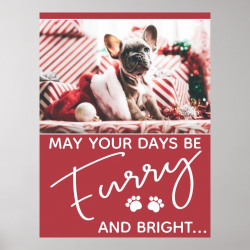 Furry Christmas red with photo and white paws Poster