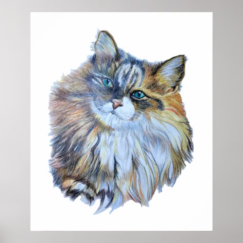 Furry Colorful Norwegian Forest Cat Realistic Art  Poster
