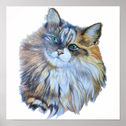 Furry Colorful Norwegian Forest Cat Realistic Art  Poster