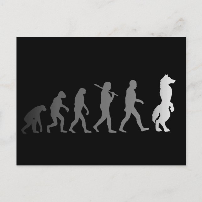 Furry evolution postcard (Front)