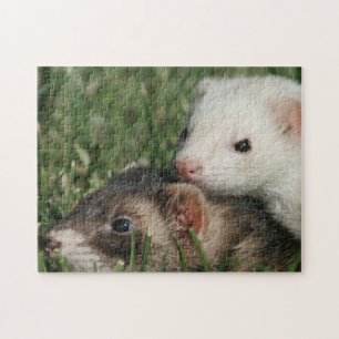 Furry friends. Weasel Friendly Ferrets Jigsaw Puzzle