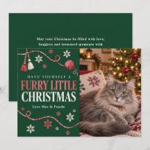 Furry Little Christmas Cat Photo