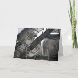 Furry Little Spy Holiday Card
