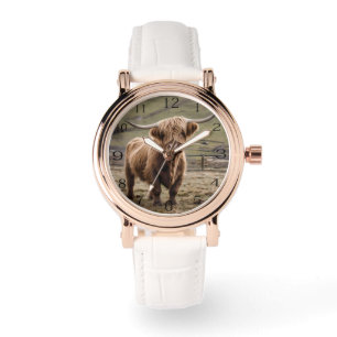 Furry Majesty: The Woolly Brown Highland Cow, Watch