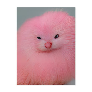 Furry Pink Critter Postcard