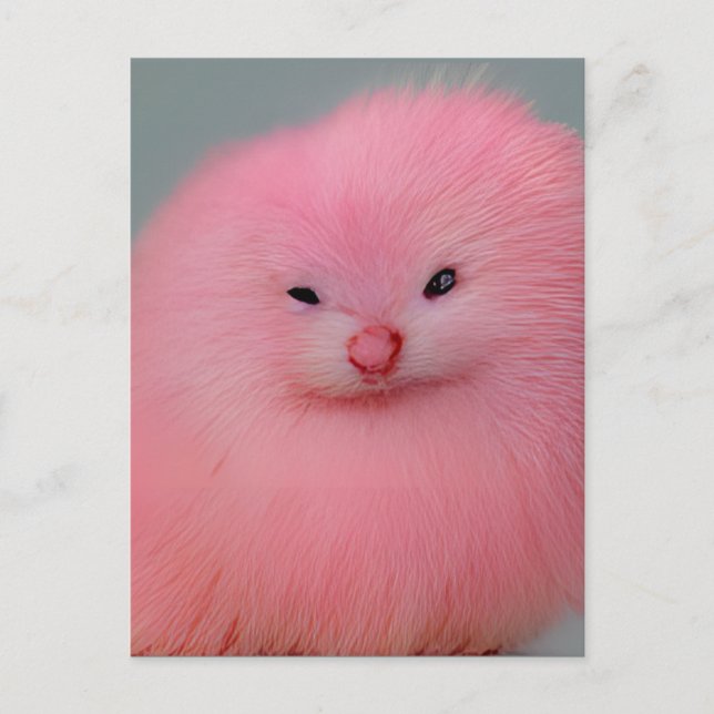 Furry Pink Critter Postcard (Front)