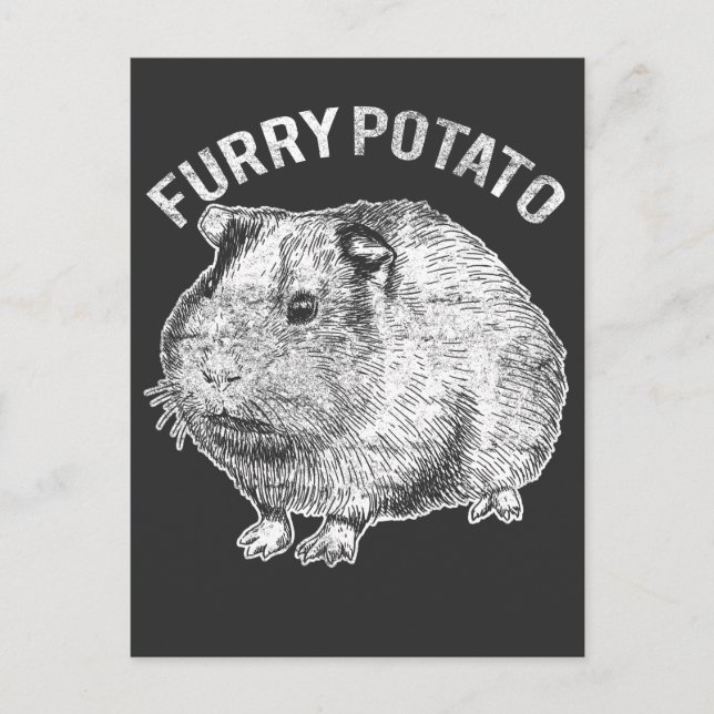 Furry Potato Cute Pet Guinea Pig Lover Postcard (Front)