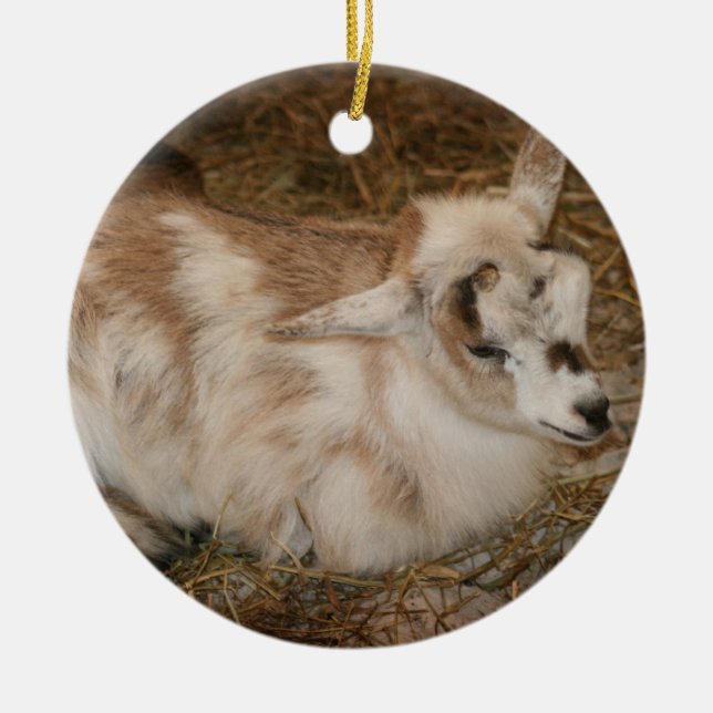 Furry small goat doeling baby right ceramic ornament (Front)