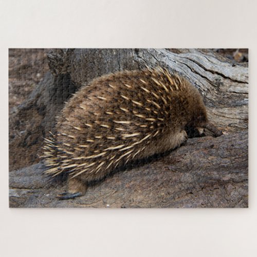 Furry Spiky Echidna Anteater Wildlife 1014 pieces Jigsaw Puzzle