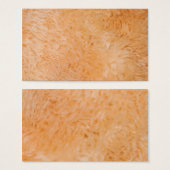 Furry Texture (Front & Back)