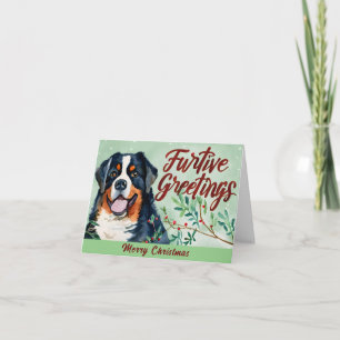 Furtive Greetings: Bernese Mountain Dog Christmas Holiday Card
