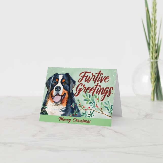 Furtive Greetings: Bernese Mountain Dog Christmas Holiday Card (Front)