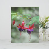 Fuschia1A.jpg (Standing Front)