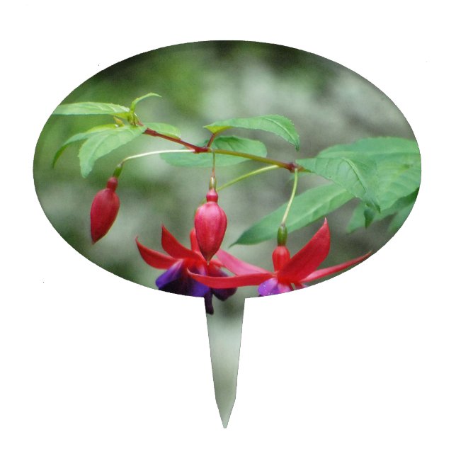 Fuschia1A.jpg Cake Topper (Front)