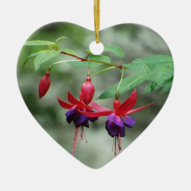 Fuschia1A.jpg Ceramic Ornament (Front)
