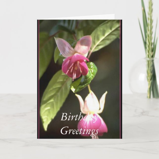 Fuschia, Birthday Greetings Card (Front)
