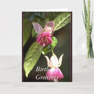 Fuschia, Birthday Greetings Card