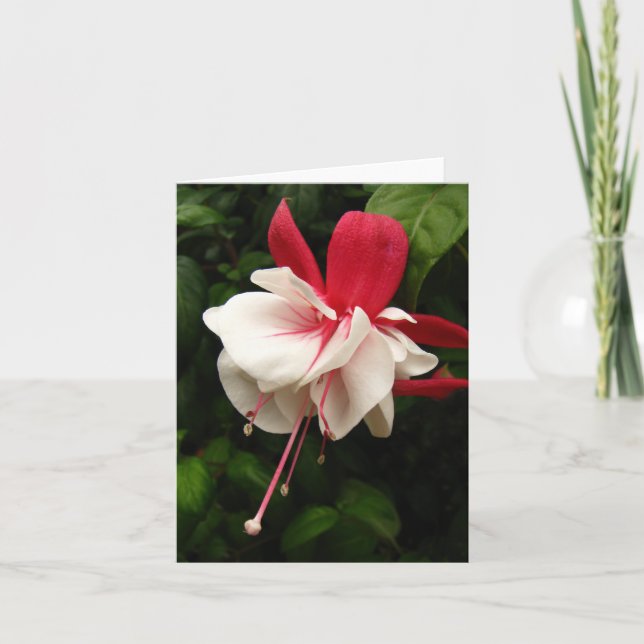 Fuschia Blossom Notecard (Front)