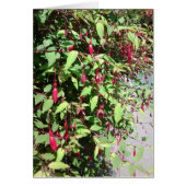 Fuschia Card (Front)