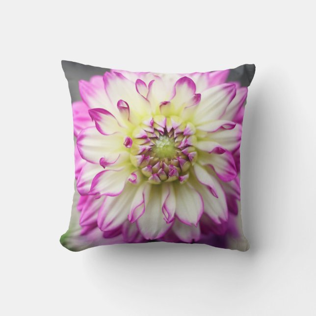 Fuschia Dahlia Flower Throw Pillow (Front)
