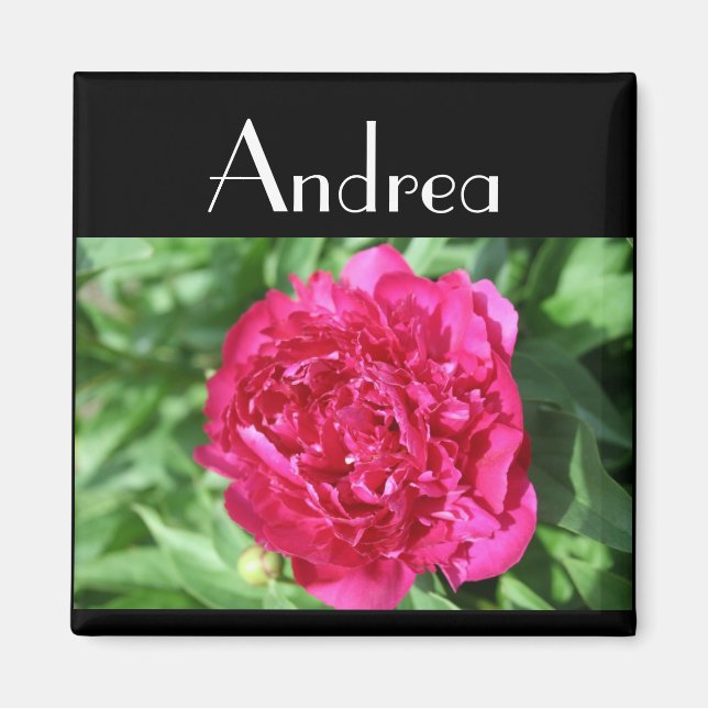 Fuschia Peony - Customized Magnet (Front)
