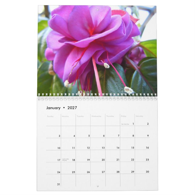 Fuschias Calendar (Jan 2027)