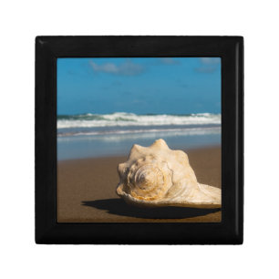 Future Beach Keepsake Box