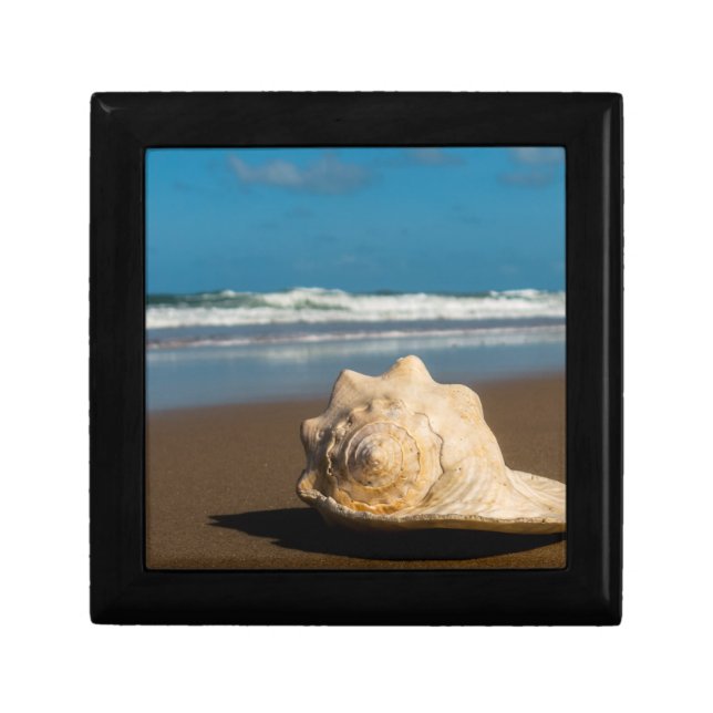 Future Beach Keepsake Box (Front)