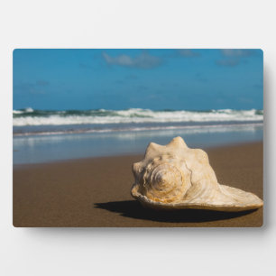 Future Beach Plaque