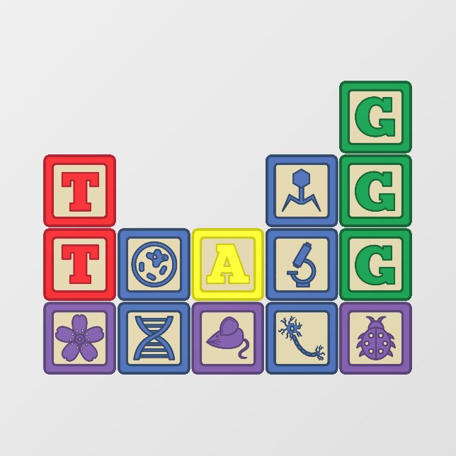 Future Biologist's Blocks Wall Decal (Front)