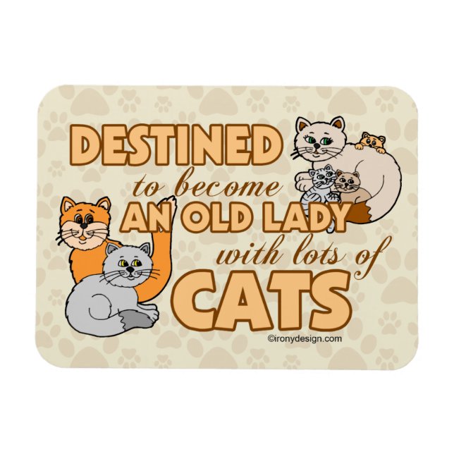 Future Crazy Cat Lady Funny Saying Design Magnet (Horizontal)