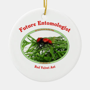 Future Entomologist Loves Bugs Ceramic Ornament