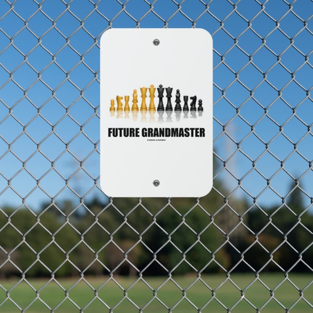 Future Grandmaster Reflective Chess Set Pieces Metal Sign (In Situ(Fence))