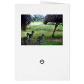 Fuzzy Baby Emu Chicks, (Back)