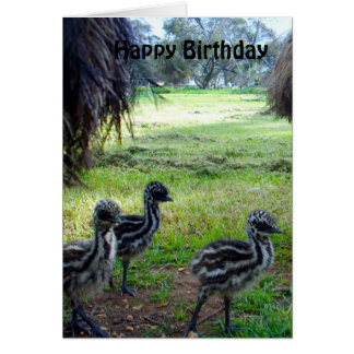 Fuzzy Baby Emu Chicks, Birthday Card