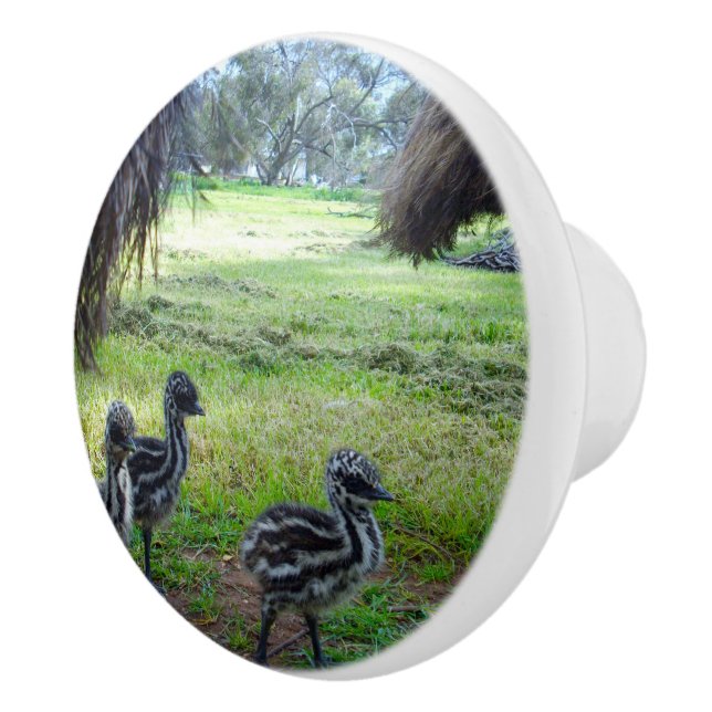 Fuzzy Baby Emu Chicks, Ceramic Knob (Right)
