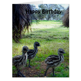 Fuzzy Baby Emu Chicks, Jumbo Birthday Card