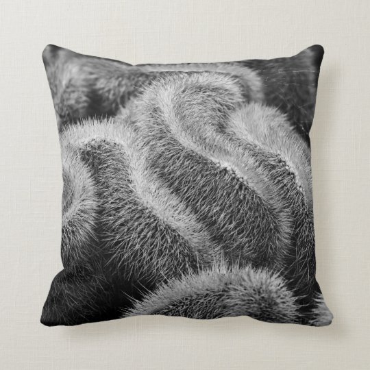 black fuzzy throw pillow