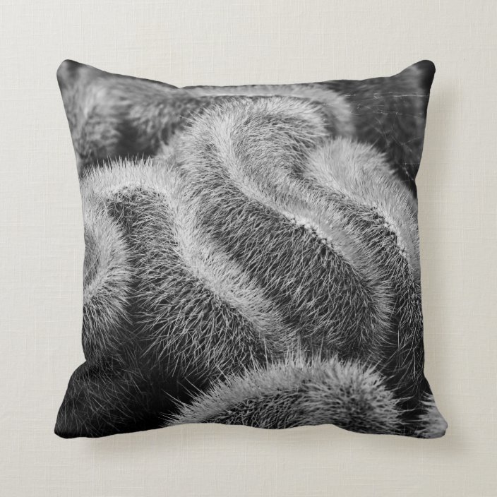 white fuzzy throw pillows