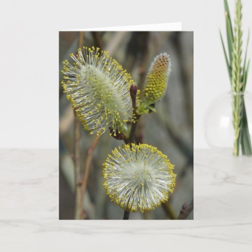 Fuzzy Blooming Bush Card