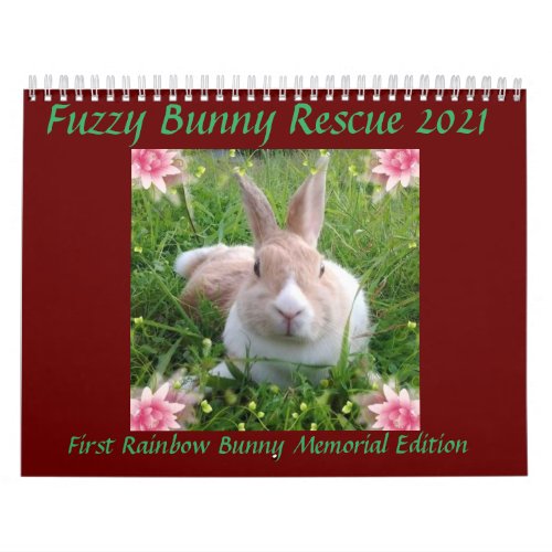Fuzzy Bunny Rescue 2021 Calendar