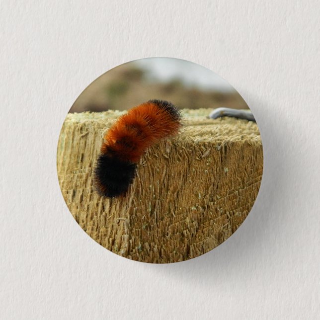 Fuzzy Caterpillar Button (Front)