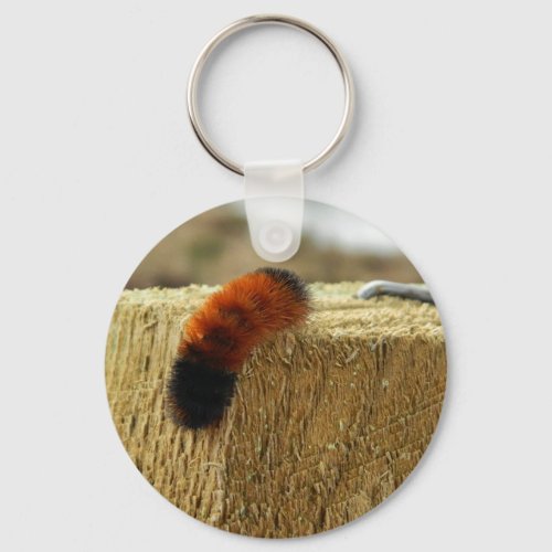 Fuzzy Caterpillar Keychain