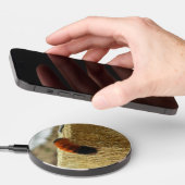 Fuzzy Caterpillar Wireless Charger (Hand)