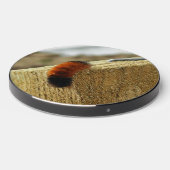 Fuzzy Caterpillar Wireless Charger (Front 2)