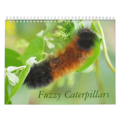 Fuzzy Caterpillars Calendar