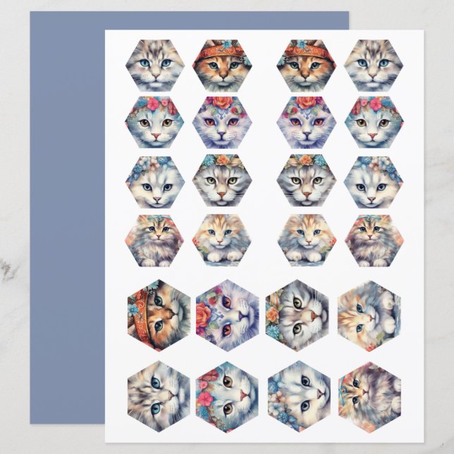 Fuzzy cut cats 1 to 8 (Front/Back)